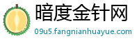 暗度金针网